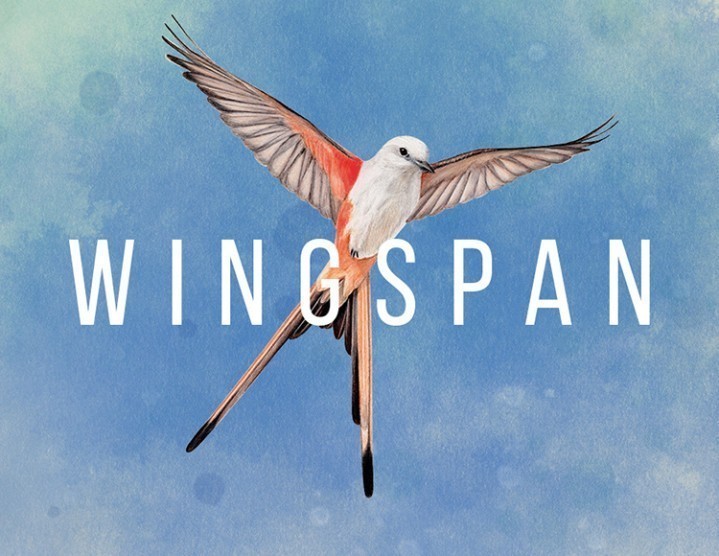 Wingspan Wingspan