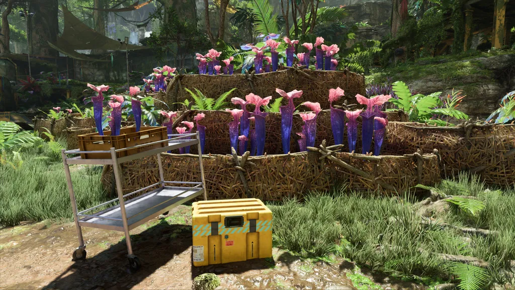 Если Alan Wake 2 и Avatar: Frontiers of Pandora - это взгляд на то, как будут выглядеть игры в 2024 году, запишите меня.