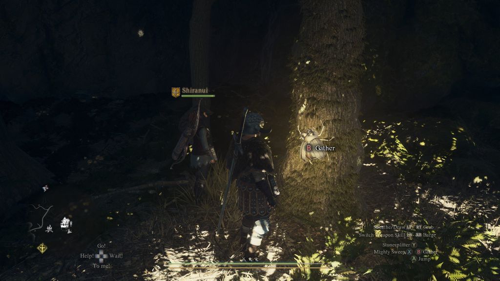 10 лучших советов по прохождению Dragon's Dogma 2