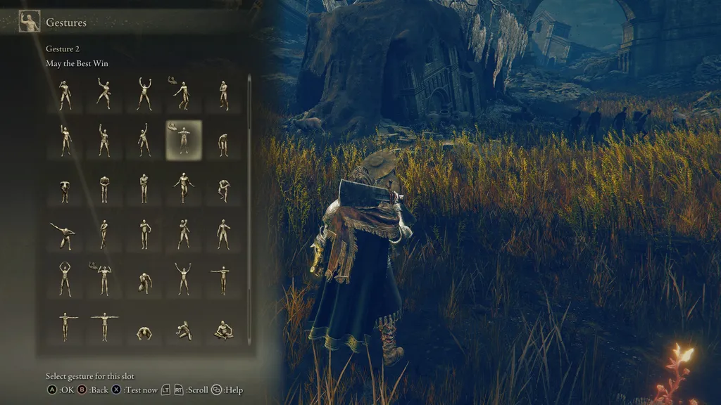 Как бросить вызов Драйлифу Дейну в игре Elden Ring: Shadow of Erdtree