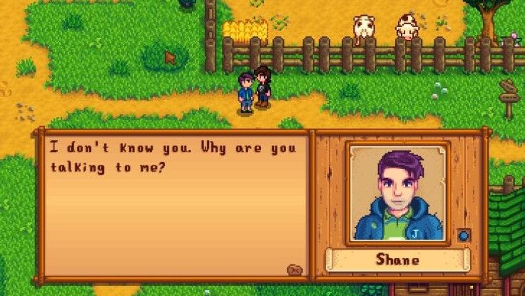 Как старому парню, играющему в Stardew Valley, мне должно быть разрешено встречаться с водителем автобуса.